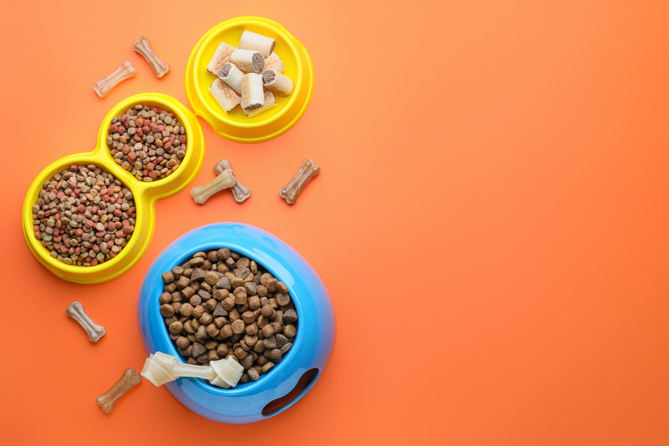 Bowls with Dry Pet Food on Orange Background